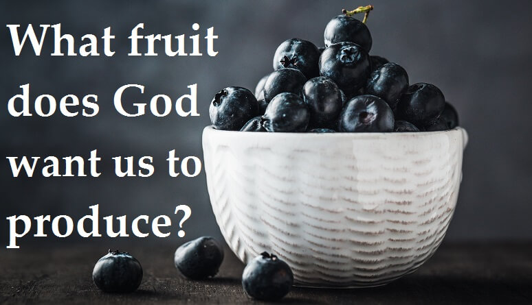 what-fruit-does-god-want-us-to-produce-salvationcall