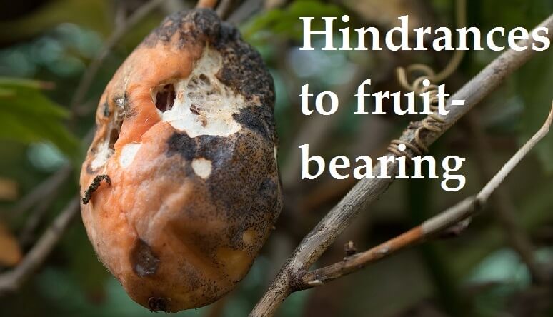 Hindrances To Fruit bearing SalvationCall
