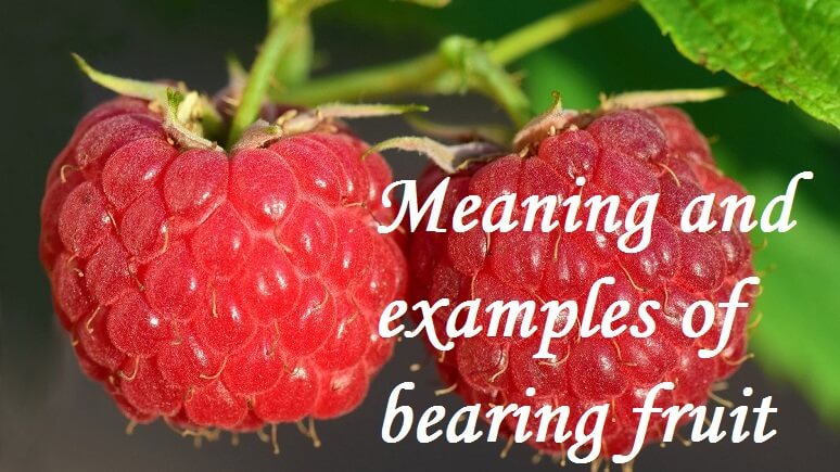  Bearing Fruit Meaning Examples Etc SalvationCall